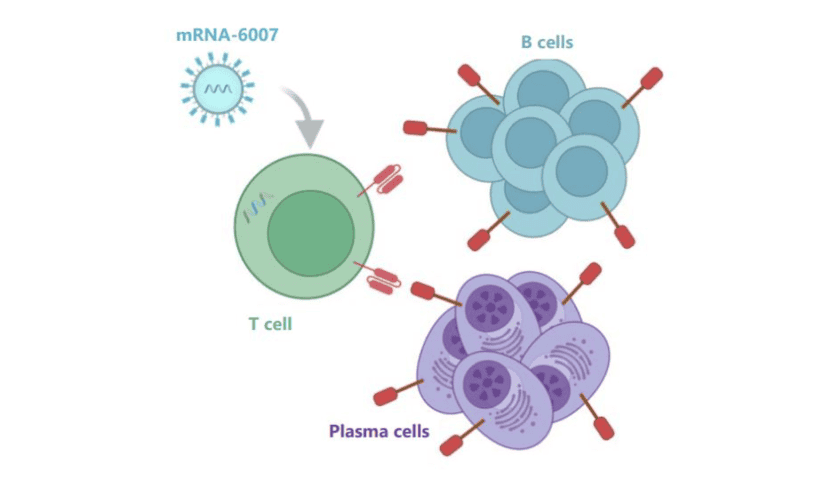 Thumbnail for Moderna launches in Vivo CAR-T mRNA therapy mRNA-6007 for autoimmune diseases