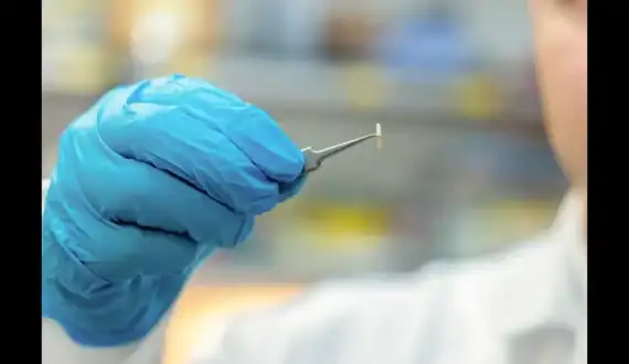 Thumbnail for NYU Abu Dhabi collaborates with Cleveland Clinic to develop wire-free injectable microdevice for chronic pain management