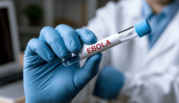 Thumbnail for Insilico Medicine signs strategic US$600M AI drug discovery agreement with Takeda