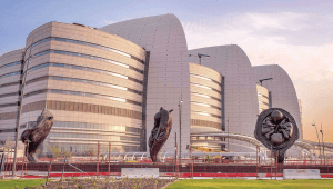 Sidra Medicine research shows maternal diet shapes child health through epigenetics