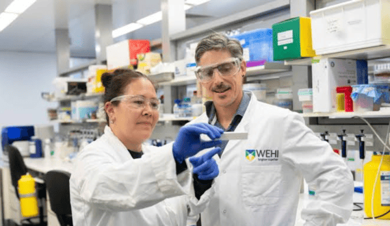 Thumbnail for WellSpan Health renews oncology collaboration with Johns Hopkins Medicine in Pennsylvania