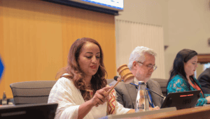 Ethiopia’s Health Minister elected Chairperson of WHO Africa Regional Committee