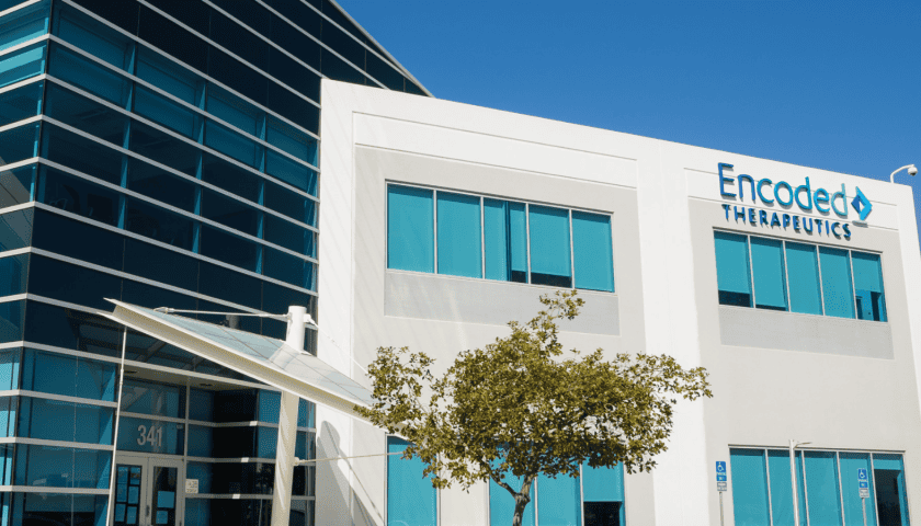 Thumbnail for Encoded Therapeutics raises US$27M to advance Dravet syndrome gene therapy