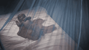 Vestergaard launches Health Textiles Nigeria FZE to produce dual-active mosquito nets