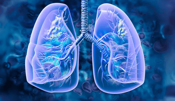Thumbnail for Boehringer Ingelheim sells China biologics CDMO unit to Shanghai RAAS
