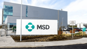 MSD licenses KRAS G12D drug from China’s SciBrunch in US$2.13B oncology deal